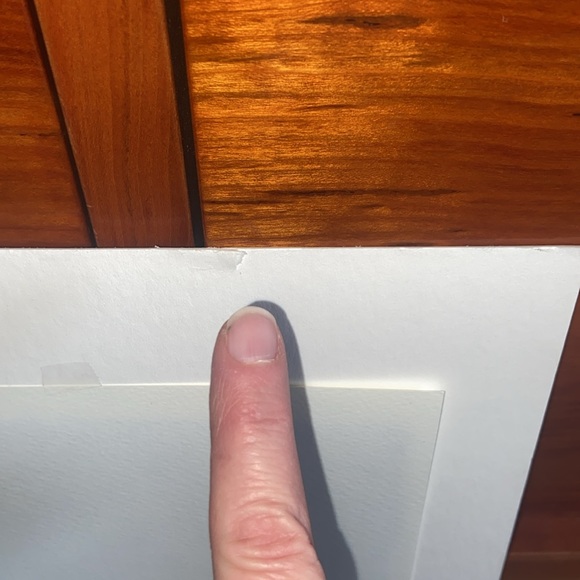 Samoyed Giclée Matted Print Mat White Dog Breed Fine Art of Watercolor Painting - Picture 7 of 9